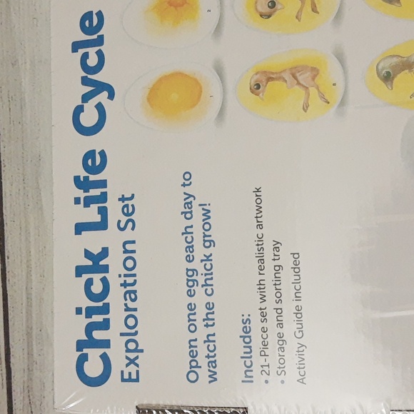 Learning Resources Chick Life Cycle Exploration Set Educational Science Kit NIB - Picture 8 of 11